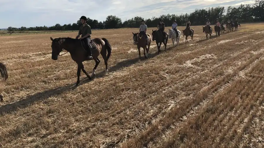 Opolszczyna Młodzieżowy rajd konny na Opolszczyźnie