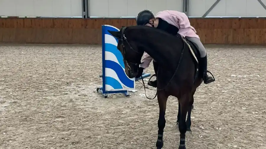 Zakrzów Kurs jazdy konnej BASIC - Start w jeździectwie dla dzieci i młodzieży