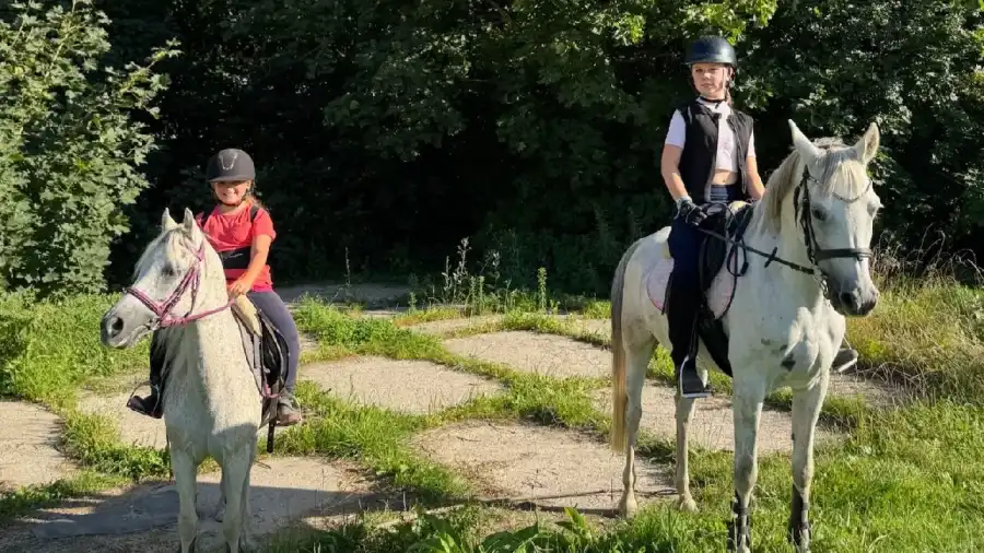 Zakrzów Kurs jazdy konnej BASIC - Start w jeździectwie dla dzieci i młodzieży