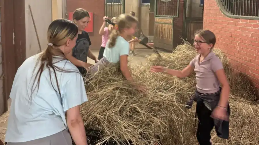 Zakrzów Kurs jazdy konnej PLUS - Rozwój jeździecki dla dzieci i młodzieży
