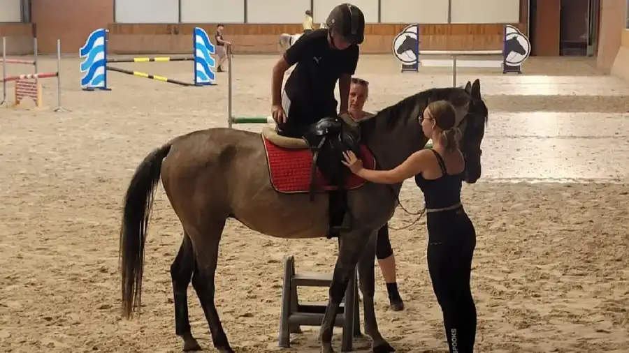 Zakrzów Kurs jazdy konnej SPORT - Camp Sportowy dla dzieci i młodzieży