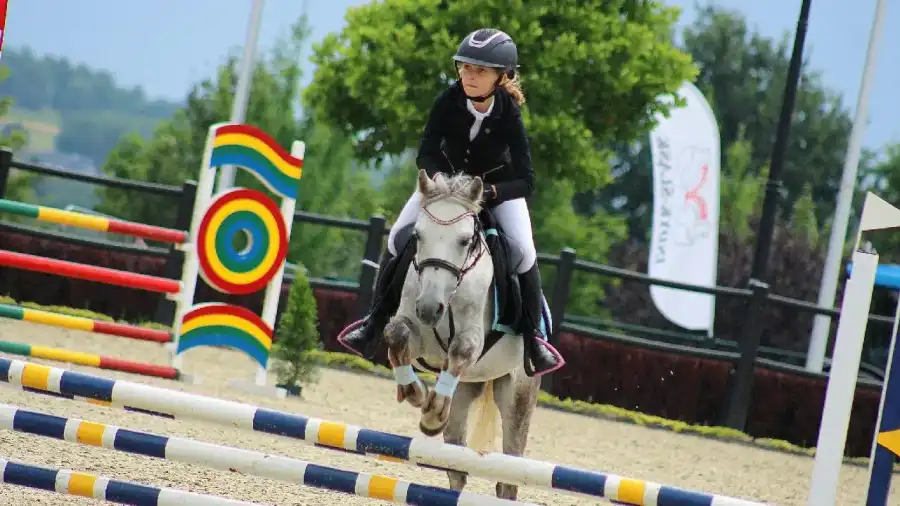 Zakrzów Kolonia i obóz hobby horse z jazdą konną