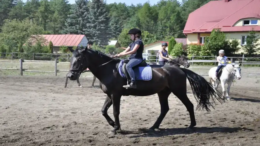 Janów Lubelski Obóz konny na lubelszczyźnie