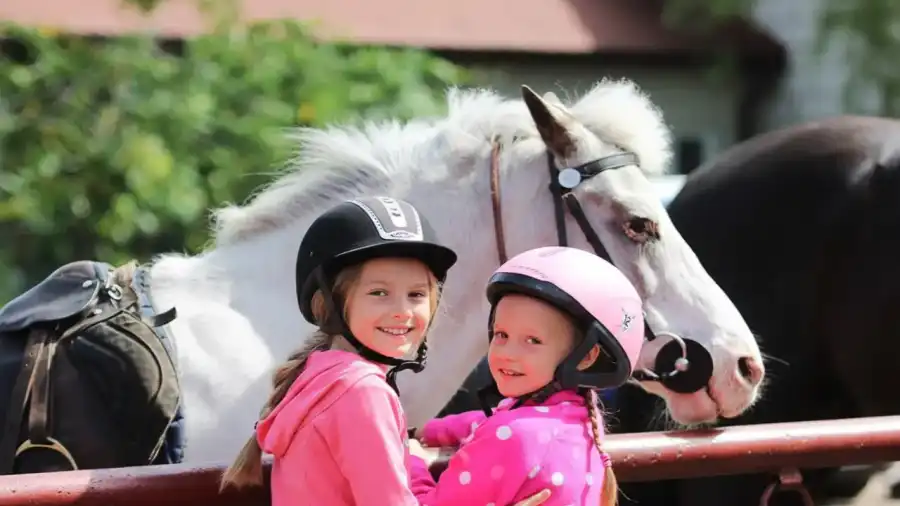 Janów Lubelski Obóz konny na lubelszczyźnie