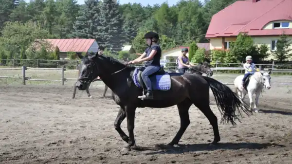 Obóz konny na Lubelszczyźnie