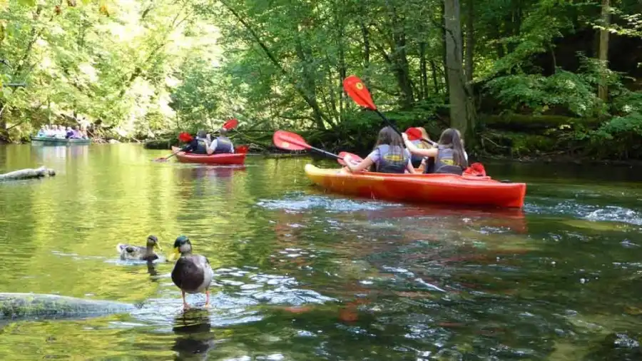 Kolonia Multisport - żagle i survival