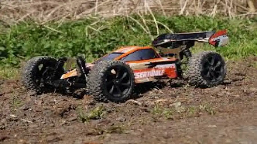 Kolonia Multisport - żagle i survival