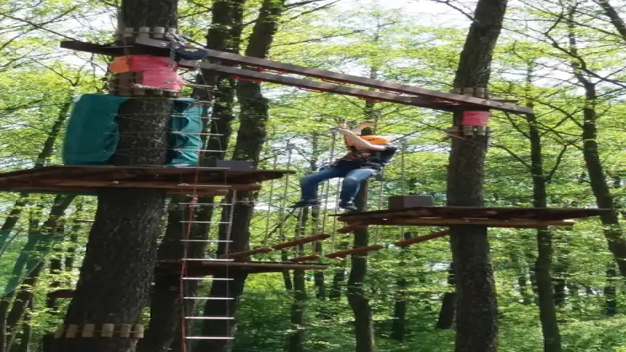 Kolonia żeglarska Multisport