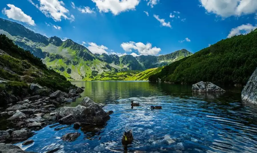 Zakopane Full Time letni obóz z termami