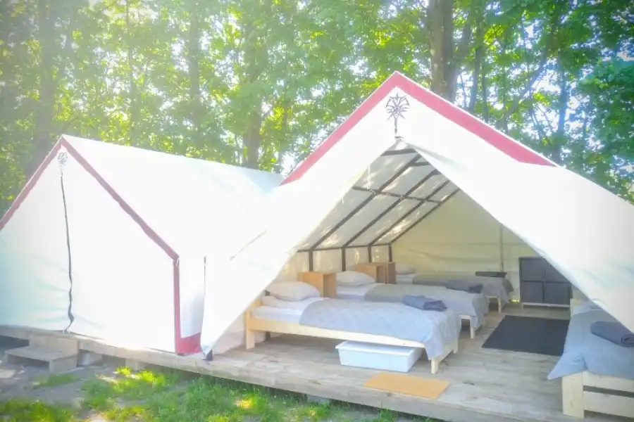 Drzewina Młodzieżowy obóz RPG Tol Calen - Glamping