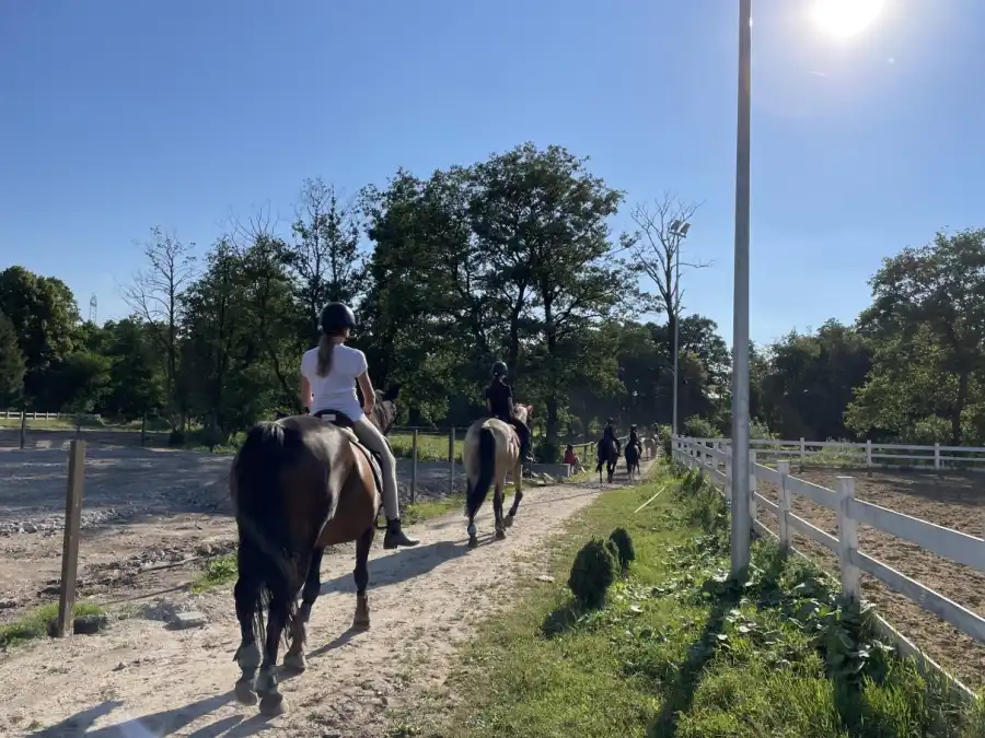 Niestępowo Kolonia i obóz jeździecki - Pierwszy Galop