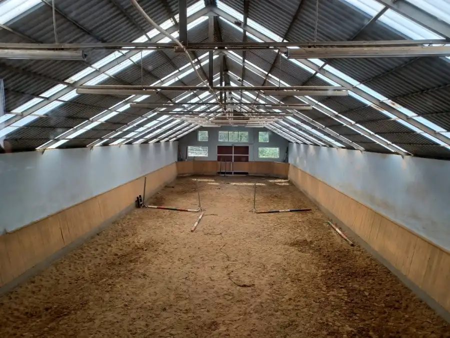 Niestępowo Kolonia i obóz jeździecki - Pierwszy Galop
