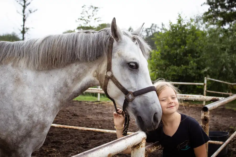 Niestępowo Kolonia i obóz jeździecki - Pierwszy Galop