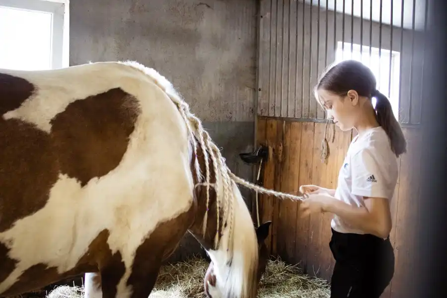 Niestępowo Kolonia i obóz jeździecki - przygotowanie do WKKW - edycja specjalna