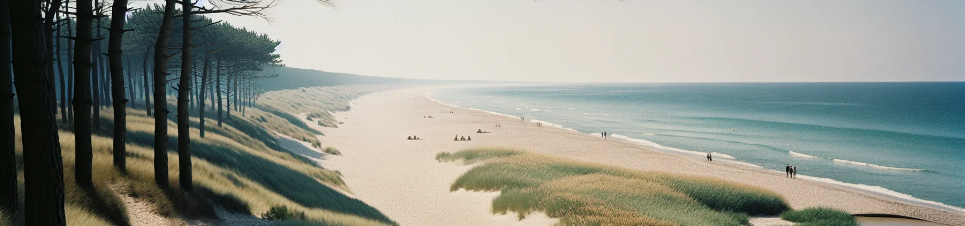 Kolonie i obozy w Danii 2026 – niezapomniane wakacje