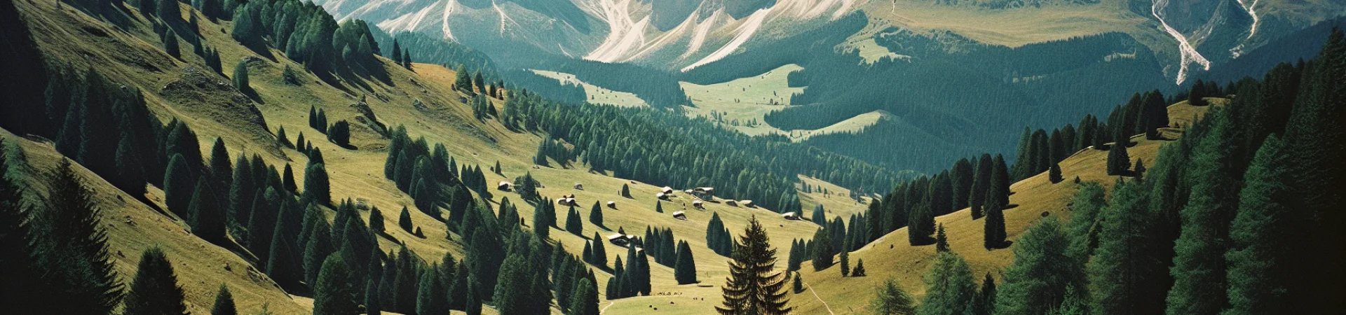 Kolonie i obozy w Folgaridzie 2026 – Letnie przygody w Dolomitach