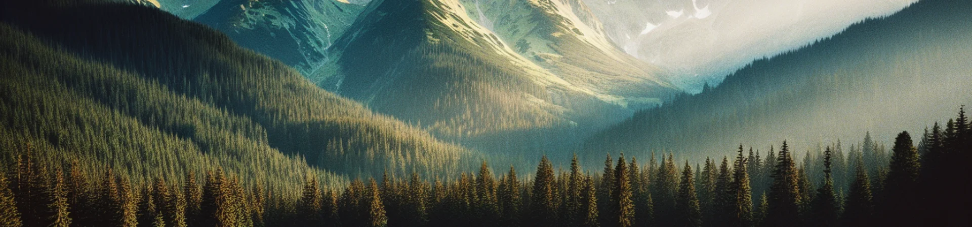 Kolonie i obozy w Tatrach i na Podhalu 2026 – Pasja i przygoda