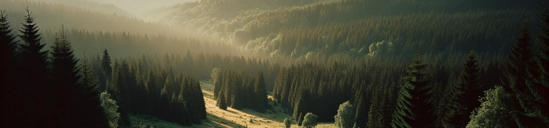 Kolonie i obozy na Wyżynie Śląskiej 2026 – Przygody i nauka